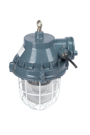 Flameproof Wellglass - PROTECTOR flameproof light
